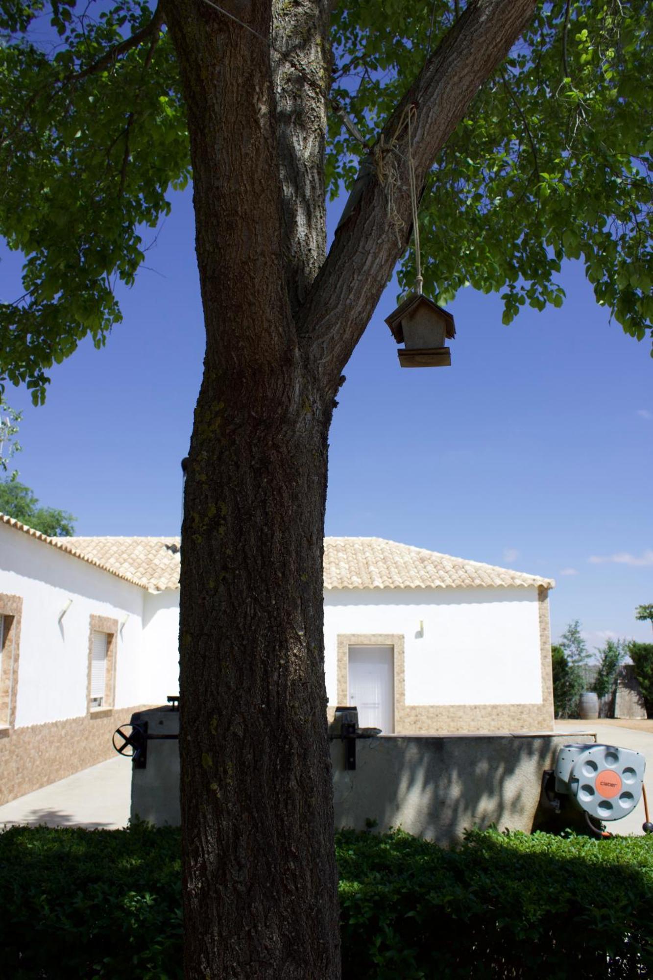 Lujosa Casa En La Cuna Del Quijote Томельосо Экстерьер фото
